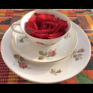 Rosentthal Helena Tea cup/saucer & dessert plate
